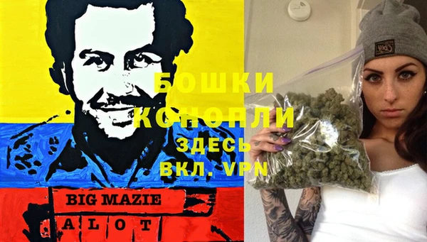 стафф Краснослободск
