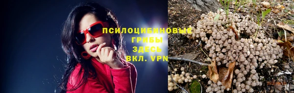 гашик Красноперекопск