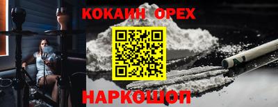 шишки Кимры