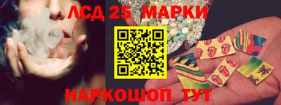 сатива Кингисепп