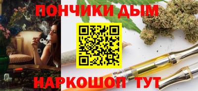 сатива Кингисепп