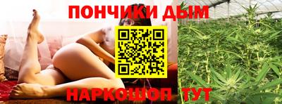 сатива Кингисепп
