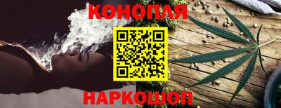 шишки Кимры