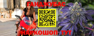 сатива Кингисепп