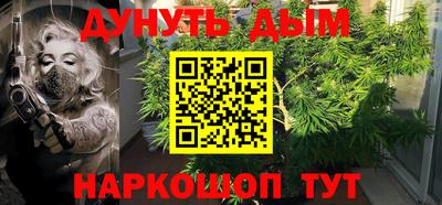 шишки Кимры