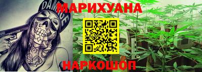 шишки Кимры