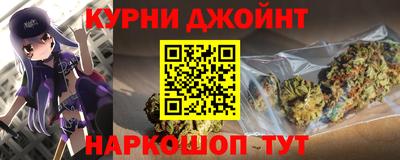 сатива Кингисепп