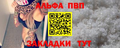 сатива Кингисепп