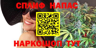 сатива Кингисепп