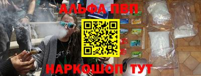 сатива Кингисепп
