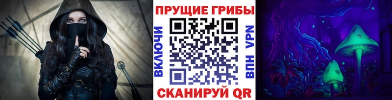 omg вход  Крымск  Галлюциногенные грибы мицелий 