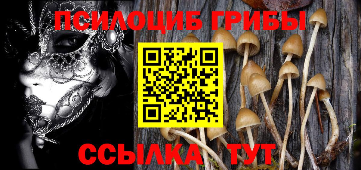 Галлюциногенные грибы MAGIC MUSHROOMS Крымск