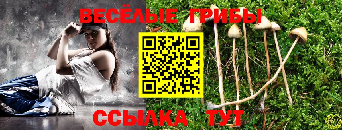 Крымск  Псилоцибиновые грибы прущие грибы  Галлюциногенные грибы Cubensis  Вход с VPN 